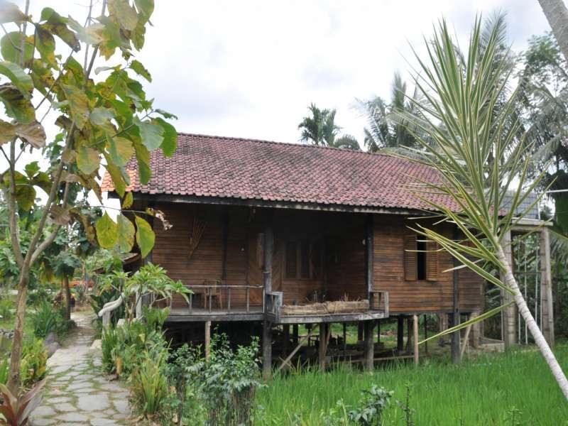 The Pikas Resort Wonosobo Exterior foto